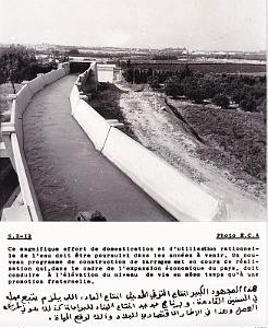 Algerie propagande 100